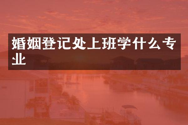 婚姻登记处上班学什么专业