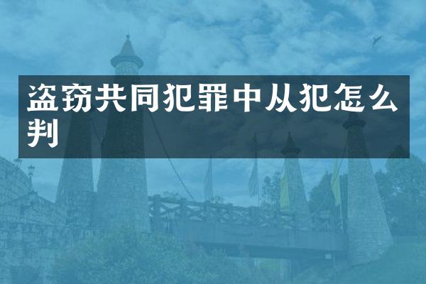 盗窃共同犯罪中从犯怎么判