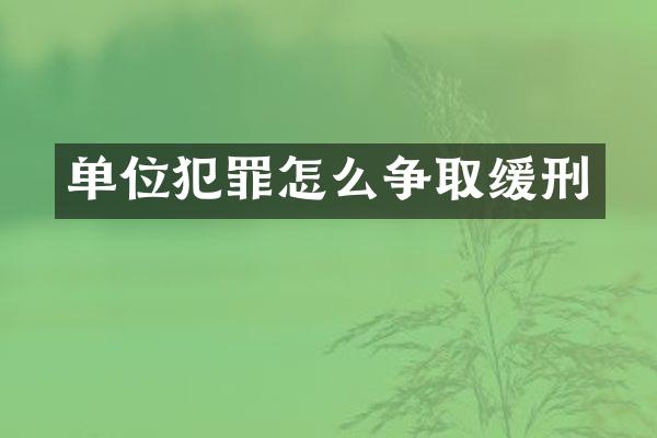 单位犯罪怎么争取缓刑