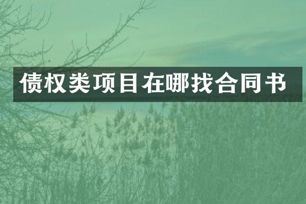 债权类项目在哪找合同书