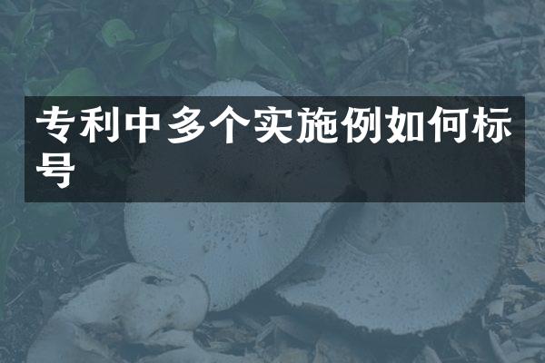 专利中多个实施例如何标号