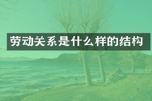 劳动关系是什么样的结构