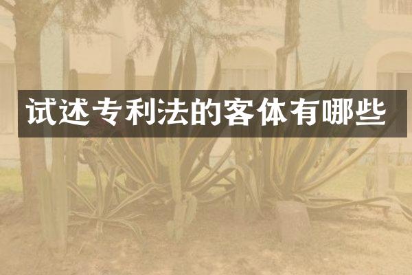 试述专利法的客体有哪些