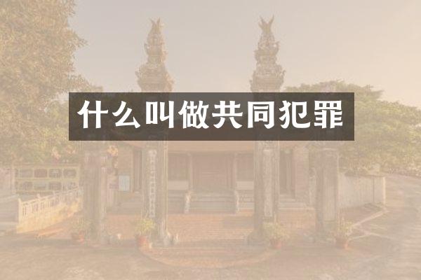 什么叫做共同犯罪