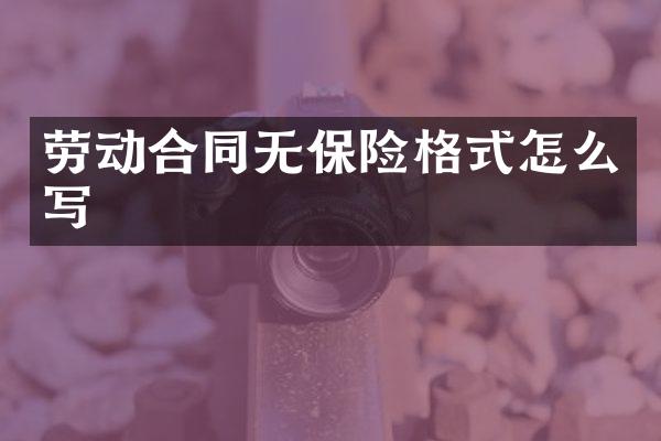 劳动合同无保险格式怎么写