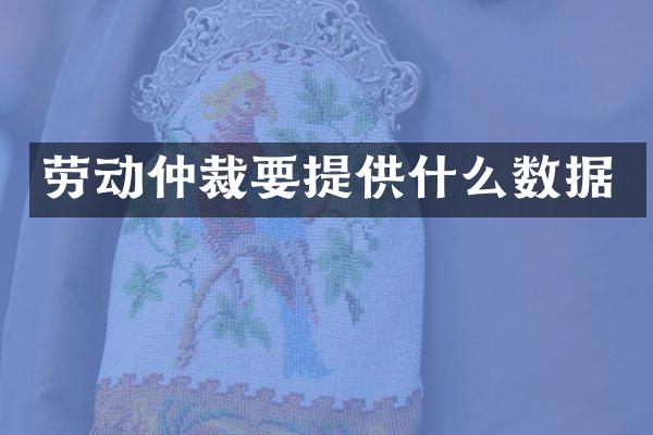 劳动仲裁要提供什么数据