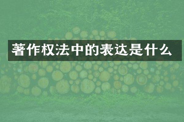 著作权法中的表达是什么