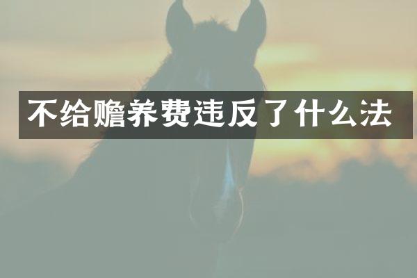 不给赡养费违反了什么法