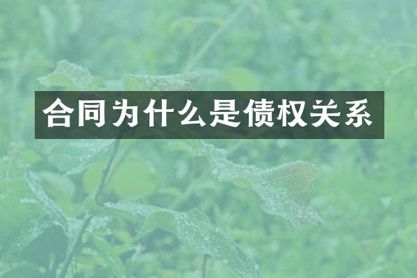 合同为什么是债权关系