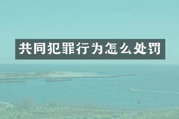 共同犯罪行为怎么处罚