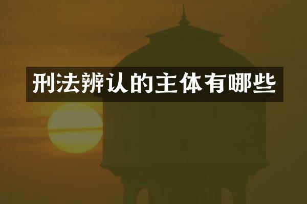 刑法辨认的主体有哪些