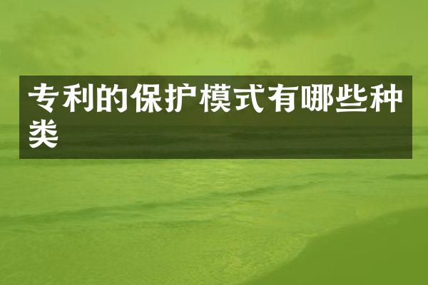 专利的保护模式有哪些种类