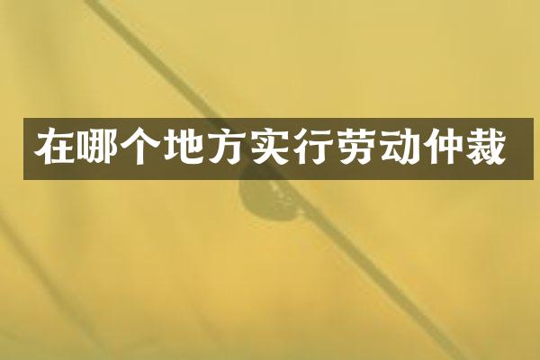 在哪个地方实行劳动仲裁