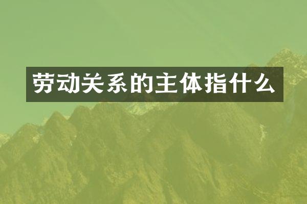 劳动关系的主体指什么