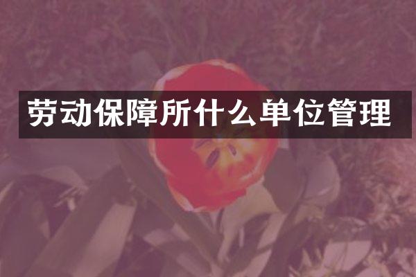 劳动保障所什么单位管理