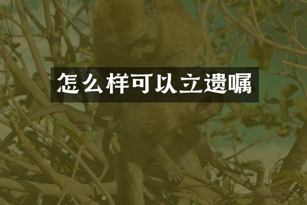 怎么样可以立遗嘱