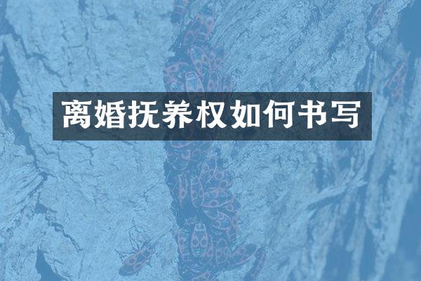 离婚抚养权如何书写