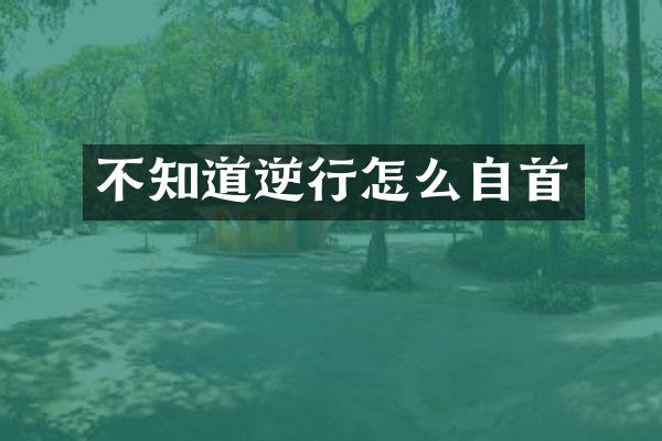 不知道逆行怎么自首