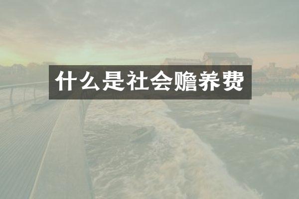 什么是社会赡养费