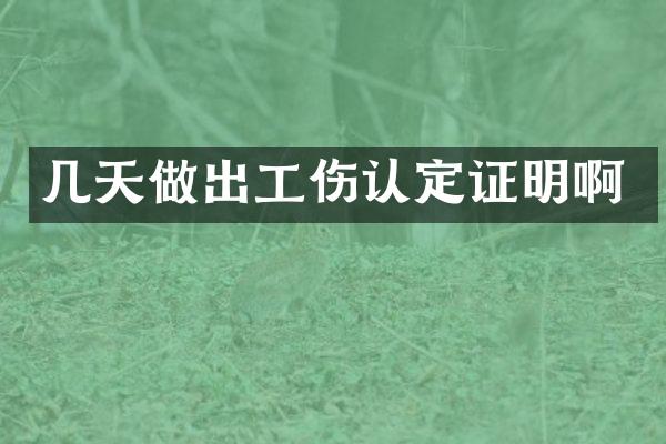 几天做出工伤认定证明啊