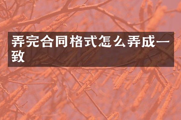弄完合同格式怎么弄成一致