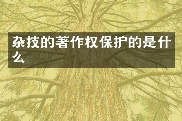 杂技的著作权保护的是什么