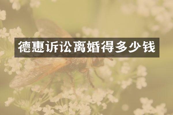 德惠诉讼离婚得多少钱