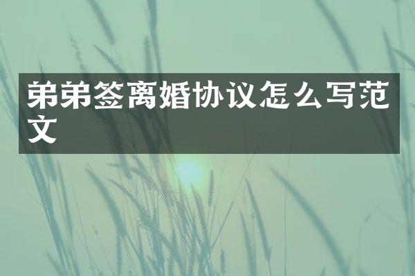 弟弟签离婚协议怎么写范文