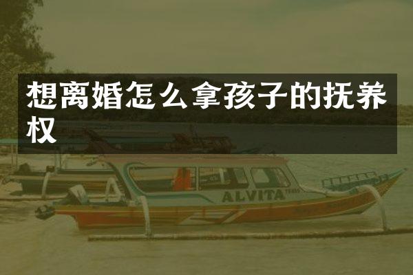 想离婚怎么拿孩子的抚养权