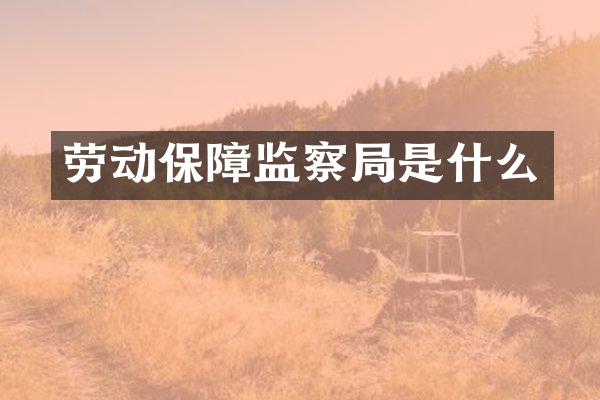 劳动保障监察局是什么