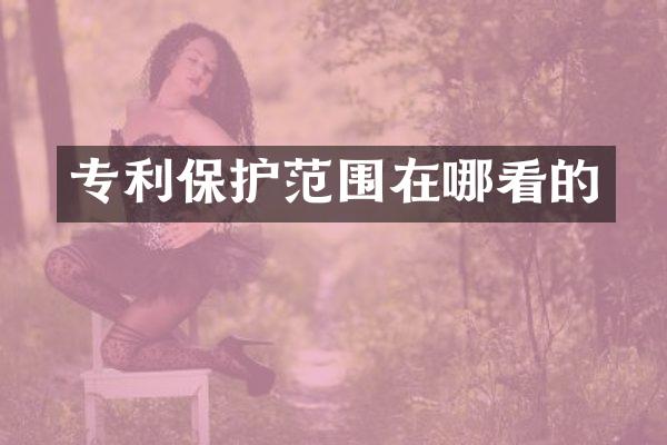 专利保护范围在哪看的