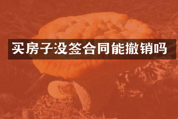 买房子没签合同能撤销吗