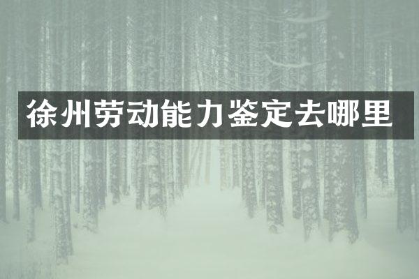 徐州劳动能力鉴定去哪里