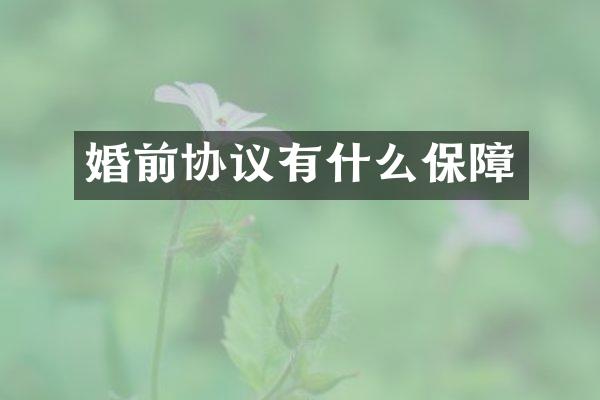 婚前协议有什么保障