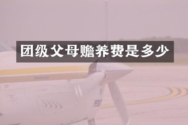 团级父母赡养费是多少