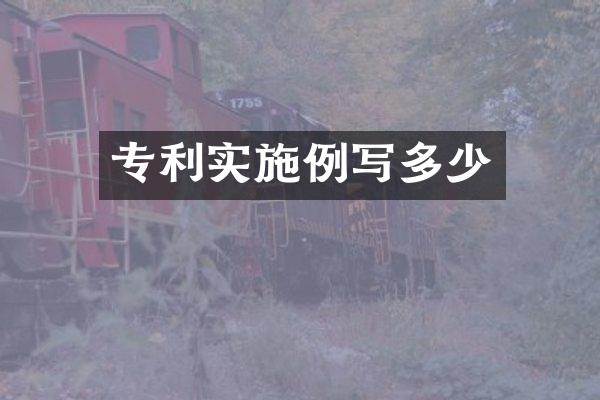 专利实施例写多少