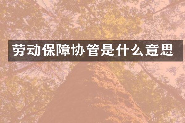 劳动保障协管是什么意思