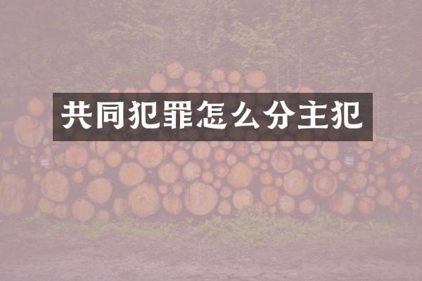 共同犯罪怎么分