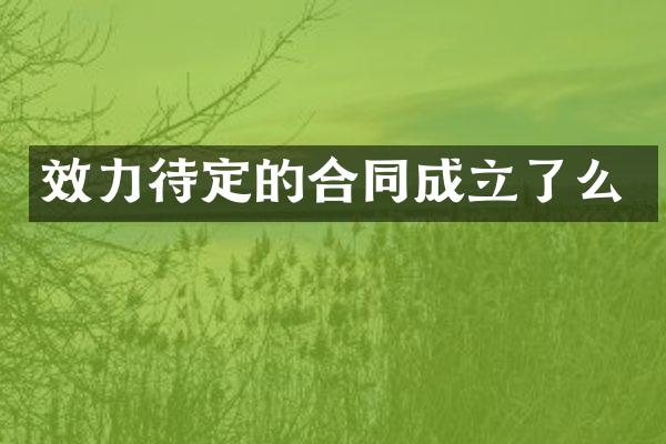 效力待定的合同成立了么