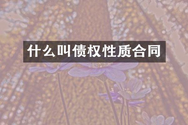 什么叫债权性质合同
