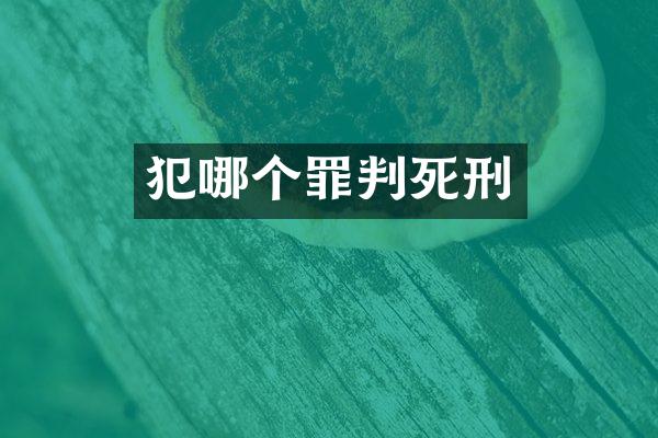 犯哪个罪判死刑