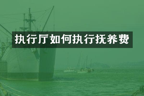 执行厅如何执行抚养费
