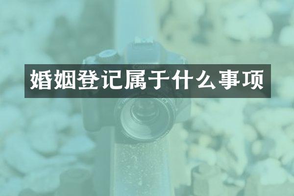 婚姻登记属于什么事项