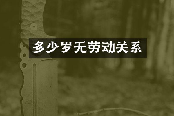 无劳动关系