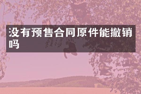 没有预售合同原件能撤销吗