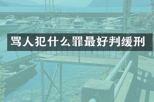 骂人犯什么罪最好判缓刑
