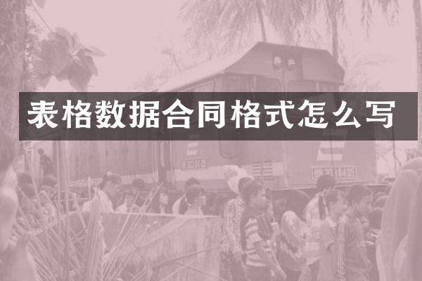 表格数据合同格式怎么写