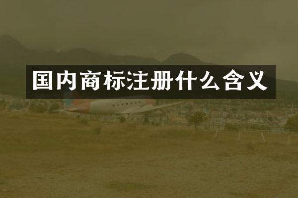 国内商标注册什么含义