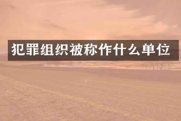 犯罪组织被称作什么单位