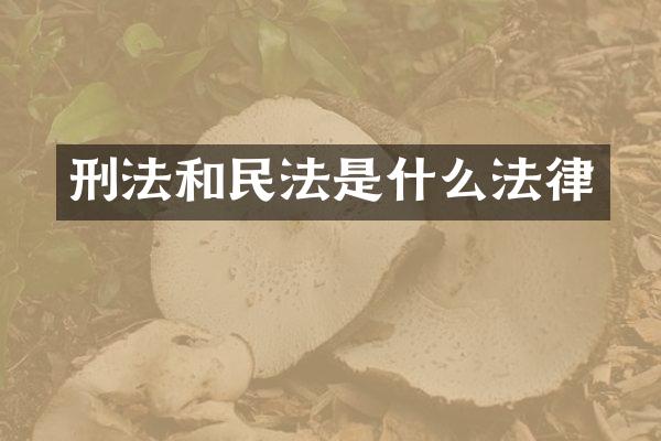 刑法和民法是什么法律